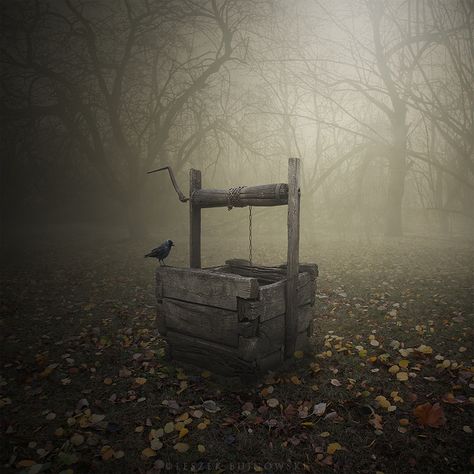 Looks just like our well on the farm! I wonder how many buckets of water I drew and carried to the house for drinking and cooking. Foggy Forest, Surrealism Photography, Ulsan, Haunted Places, Pics Art, Abandoned Places, Scream, The Well, Surrealism