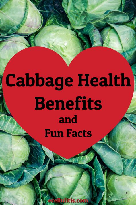 There are numerous cabbage health benefits and we are about to go through all of them. Cabbage Benefits Health, Health Benefits Of Cabbage, Cabbage Health Benefits, Cabbage Benefits, Holistic Doctor, Healthy Gut Recipes, Vegetable Benefits, Organic Extra Virgin Olive Oil, Food Sensitivities