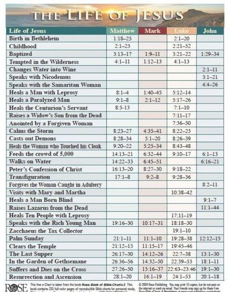 Timeline Of Jesus Life, Jesus Infographic, Bible Summary, Bible Genealogy, Bible Charts, Bible Learning, Bible Overview, Genealogy Of Jesus, Bible Timeline