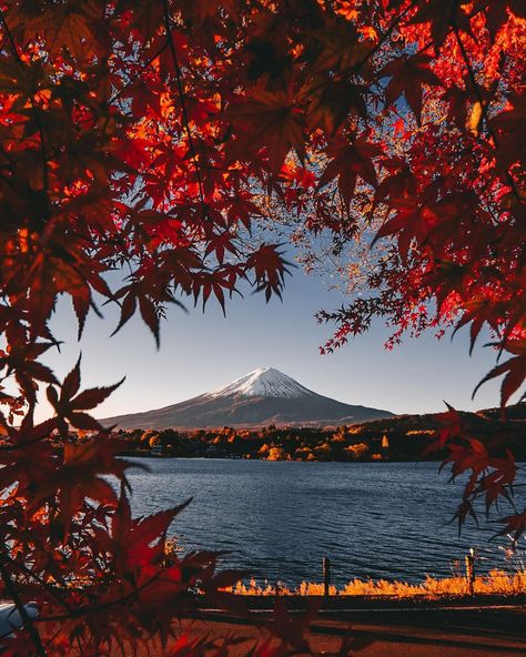 All Posts • Instagram Japan October, October Aesthetic, Best Place To Visit, Japan Aesthetic, Place To Visit, Japan Photo, Travel And Tourism, Beautiful Scenery, In November