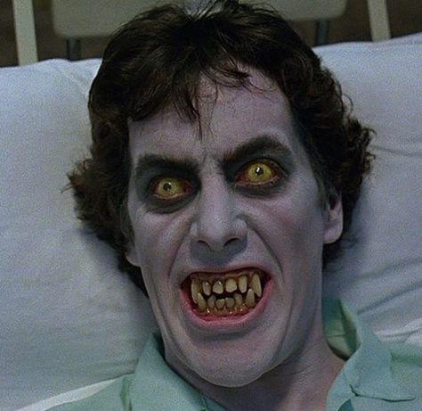 David Naughton, Werewolf Horror, David Kessler, An American Werewolf In London, Werewolf In London, Aesthetic Film, American Werewolf In London, 80s Horror, Famous Monsters