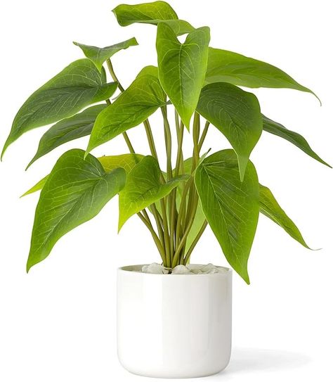 Amazon.com: Mkono Fake Plants in Ceramic Pot, 11" Potted Artificial Plants for Home Decor Indoor Faux Green Leaf Plant with Modern White Planter for Desk Shelf Office Room Decoration (Pothos) : Home & Kitchen Primitive House Decorations, Plants For Home Decor, Fake Potted Plants, Shelf Office, Plants For Home, Artificial Potted Plants, Pothos Plant, Leaf Plant, Desk Shelf