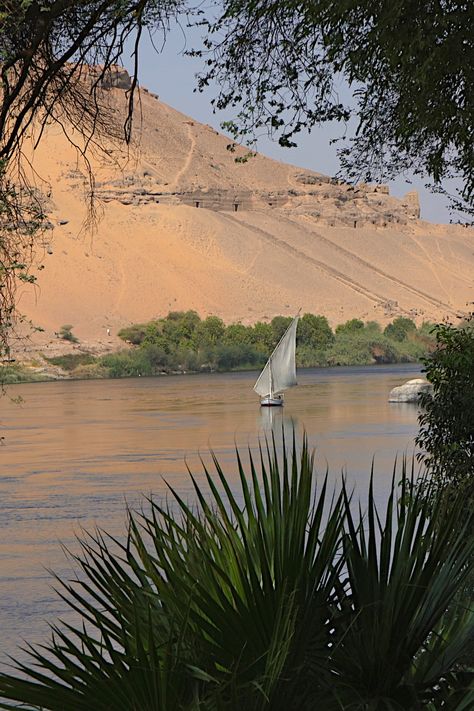 Ancient Egyptian Aesthetic, Egyptian Boat, Rare Aesthetics, Egyptian Aesthetic, Egypt Ancient, The Nile River, Arabian Night, Nile River, Egyptian History