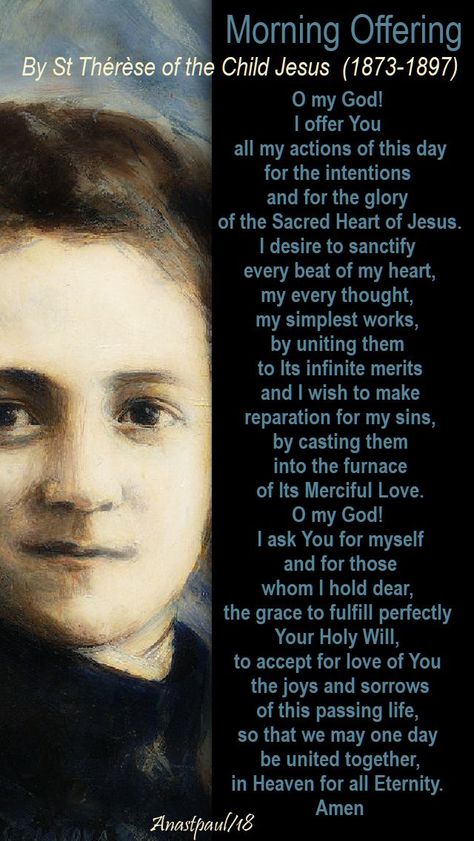 St Zelie Martin Quotes, St Therese Of Lisieux Prayers, St Jerome Emiliani Quotes, St Ignatius Of Loyola Quotes, St. Thomas More Quotes, St Therese Of Lisieux, Saint Teresa, Thérèse Of Lisieux, Saint Quotes Catholic