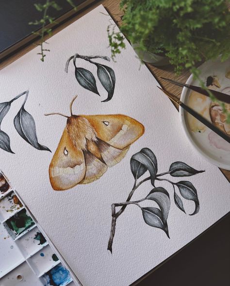 https://instagram.com/p/CfVzjvvL2Az/ Moth Watercolor Painting, Watercolour Easy Painting, Insect Template, Moth Sketches, Moths Watercolor, Moth Painting Acrylic, Watercolour Insects, Watercolour Easy, Watercolor Bugs