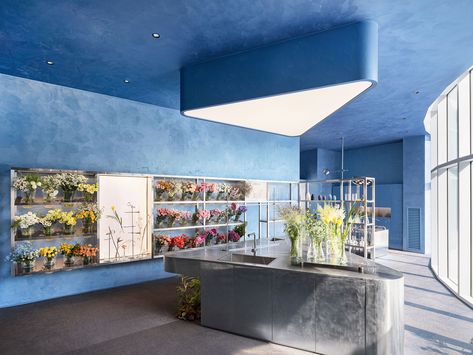 Sky Blue Paint, Flower Shop Interiors, Silver Curtains, Laboratory Design, Flower Shop Design, Retail Concepts, Best Architects, Flower Studio, Commercial Architecture