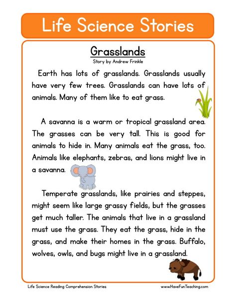 This Reading Comprehension Worksheet - Grasslands is for teaching reading comprehension. Use this reading comprehension story to teach reading comprehension. Grassland Project, Grasslands Biome, Montessori Africa, Biome Project, Story Worksheet, Savannah Animals, Science Reading Comprehension, Ingles Kids, Teaching Reading Comprehension