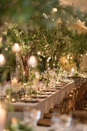 Magical Garden Wedding, Oasis Wedding, Garden Wedding Decor, Wedding Decor Table, Elegant Wedding Decor, Indoor Garden Wedding, Forest Theme Wedding, Green Centerpieces, Indoor Wedding Receptions