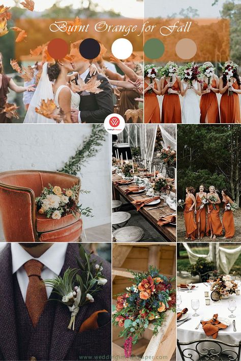 Burnt Orange And Taupe Wedding, Orange Green And Brown Wedding Colors, Wedding Colors Green Orange, Green Orange Brown Wedding, Fall Gold Wedding Color Palettes, Gray And Burnt Orange Wedding, Fall Color Palette Wedding Rustic Burnt Orange, Orange And Gray Wedding, Orange Wedding Color Scheme