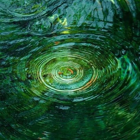 Water Forms, Natural Form Art, Plant Texture, Water Reflection, Watercolor Water, Green Wave, Texture Photography, Water Ripples, Green Aesthetic