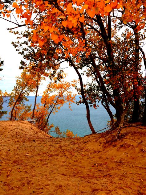 Lake Michigan Fall 2012 Michigan Dunes, Michigan Fall, Michigan Cottage, West Michigan, Pure Michigan, Lake Michigan, Fall Colors, Muse, Michigan