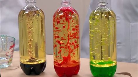 Lava Lamp Sensory Bottle, How To Make A Lava Lamp In A Bottle, How To Make A Lava Lamp, Lava Lamp Science Fair Project Board, Water Bottle Lava Lamp, Lava Lamp Craft, Lava Lamp Experiment For Kids, Lava Lamp For Kids, Diy Lava Lamp