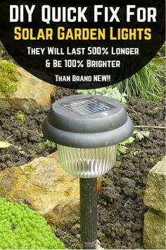 How To Repair Solar Garden Lights, Flower Garden Lights, Cheap Solar Lights, Indoor Solar Lights, Solaire Diy, Garden Lighting Diy, Solar Light Crafts, Solar Lights Diy, Shtf Preparedness