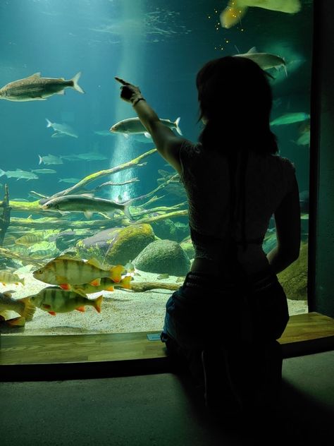 Aquarium Photoshoot, Aquarium Trip, Vaca Pics, Green Aquarium, Aquarium Photography, Aquarium Aesthetic, Fish Aesthetic, Aquarium Photos, Aquarium Pictures