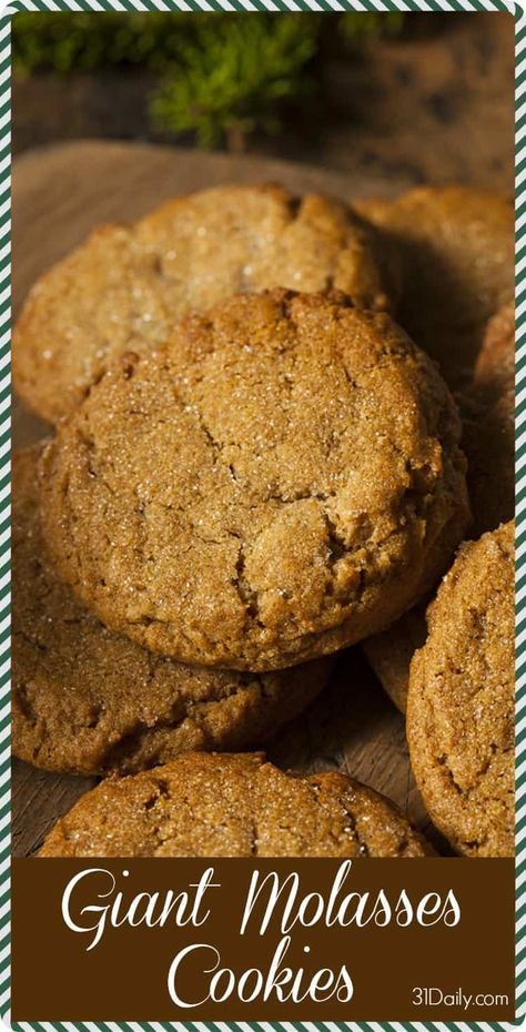 Soft and Chewy Giant Molasses Cookies Giant Molasses Cookies, Gluten Free Ginger Snaps, Ginger Snaps Recipe, Molasses Cookies, Ginger Snap Cookies, Snickerdoodles, Ginger Snaps, Gluten Free Cookies, Oatmeal Cookies