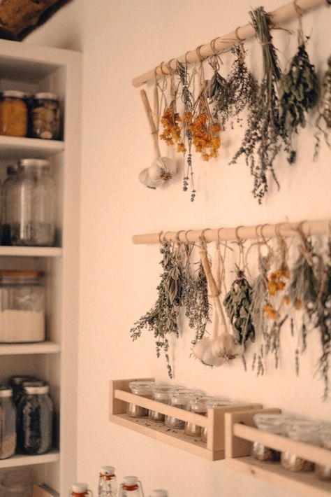 Diy Herb Drying, Homemade Herbal Tea, Herb Drying Rack, Herb Drying, Echinacea Tea, Homemade Tea, Herbal Apothecary, Herbal Tea Blends, Herb Tea