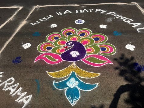 A Colourful road in Telengana! - Travel Twosome Road Rangoli Designs, Rangoli Designs On Road, Colourful Rangoli, Simple Rangoli Designs, Alpona Design, Rangoli Simple, Big Rangoli Designs, Beautiful Rangoli, Beautiful Rangoli Designs