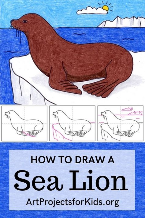 Learn how to draw a Sea Lion with an easy step-by-step PDF tutorial. #howtodraw #tutorial #drawing #drawingtutorial #arttutorial #artprojectsforkids #howtodrawforkids #sealion Sealions Drawing, Sea Lion Craft, Sea Lion Illustration, Sea Lion Drawing, Lion Tutorial, Sea Lion Art, Lions For Kids, Nims Island, Christmas Drawings For Kids