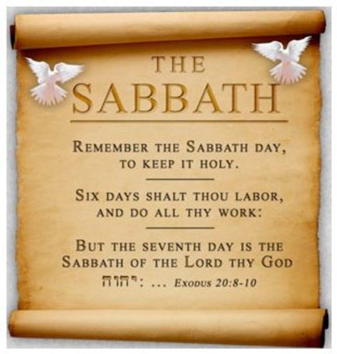 Happy Sabbath Quotes, Sabbath Quotes, The Sabbath Day, Jewish Bible, Shabbat Shalom Images, Sabbath Rest, Hebrew Roots, Happy Sabbath, Sabbath Day