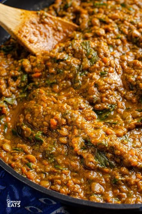 Delicious Spicy Lentils and Spinach - a perfect meal for Meatless Mondays! Even non-vegetarians will love this recipe. Lentils are not only affordable but also a fantastic source of protein and fiber. I always keep different varieties in my pantry; red lentils for soups and daal, and chunkier lentils like brown or green lentils as a substitute for ground meat in recipes. Lentil Skillet Recipes, Lentil Ragu Recipe, Franco Noriega Recipes, Dry Lentil Recipes, Quick Lentil Recipes, Green Lentils Recipe, Persian Lentils, Lentil Ground Beef, Lintel Recipes