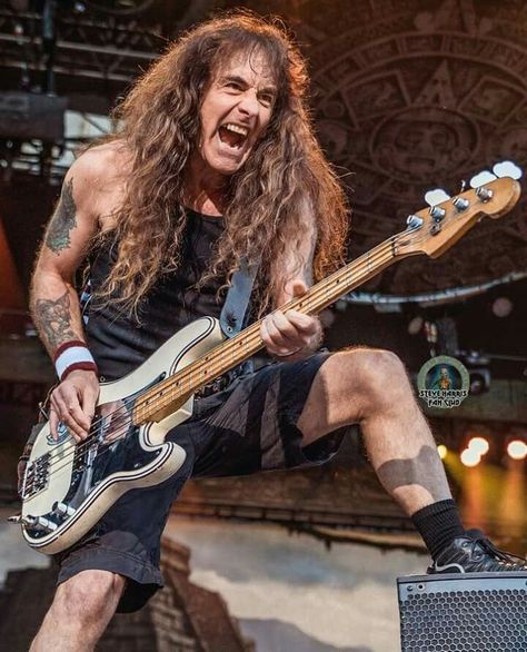 Happy 68th Birthday, 68th Birthday, Steve Harris, Iron Maiden Band, Bass Players, Bass Player, Guitar Hero, Punk Bands, Iron Maiden