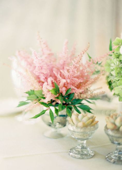 Astilbe Wedding, Flowering Shade Plants, Wedding Flower Inspiration, Shade Plants, Flowers Perennials, Landscaping Plants, Perennial Plants, Types Of Flowers, Cool Plants