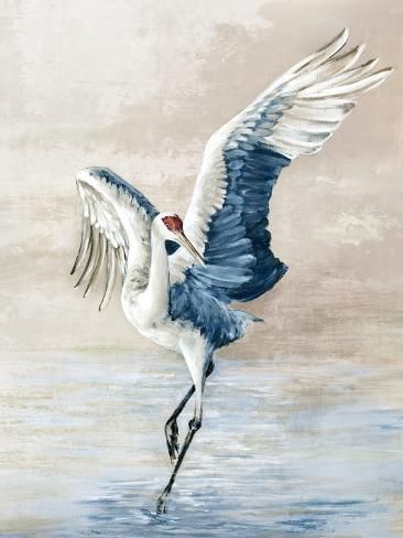 size: 12x9in Art Print: Dancing Heron by Eli Jones : Watercolor Sandhill Crane, Great Blue Heron Art, Blue Heron Painting, Cottage Paintings, Shore Bird Art, Heron Photography, Crane Painting, Water Paint Art, Ar Art