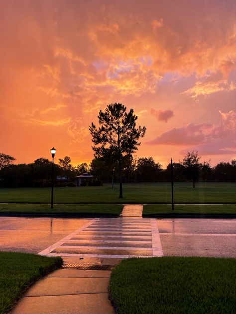 Rainy Sunset Aesthetic, Rainy Sunset, Sunny Rain, Rainy Wallpaper, Canada Pictures, Sunset Road, Sun View, I Love Rain, Ethereal Aesthetic