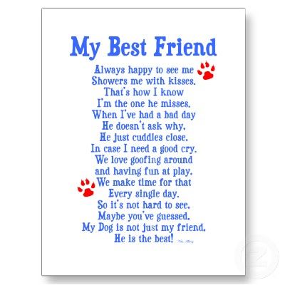 I am glad there are things like this out there so I know I am not the only one that loves my dogs   this much Cute Love Poems, Dog Poems, Friend Poems, Always Thinking Of You, Best Friend Poems, Gotcha Day, About Dogs, Good Essay, Having A Bad Day