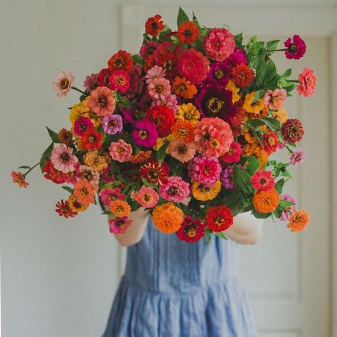 How to grow Zinnias and get great results! • Rebekah Bethany Zinnia Bouquet, Zinnia Garden, Zinnia Flowers, Cut Flower Garden, Wildflower Seeds, Flower Farm, Flower Lover, Fashion Editorial, Beautiful Blooms