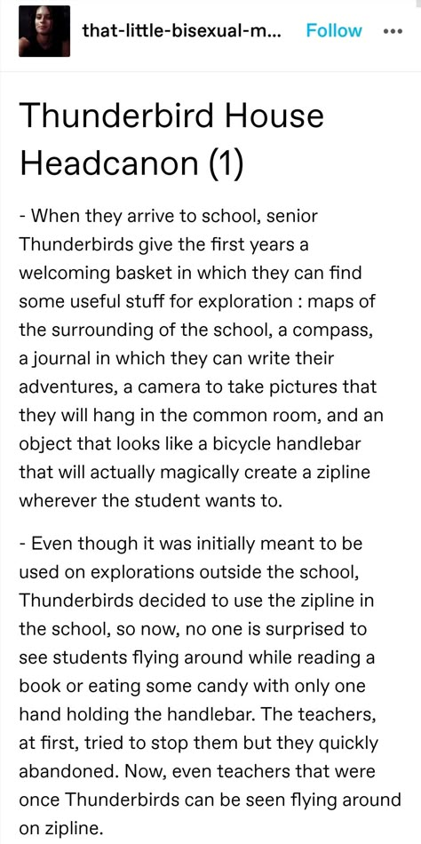 Harry Potter Thunderbird, Thunderbird Aesthetic Ilvermorny, Nandini Core, Ilvermorny Headcanons, Ilvermorny Thunderbird, Thunderbird Ilvermorny, The Outsiders Headcanons, Thunderbird House, American Wizarding School