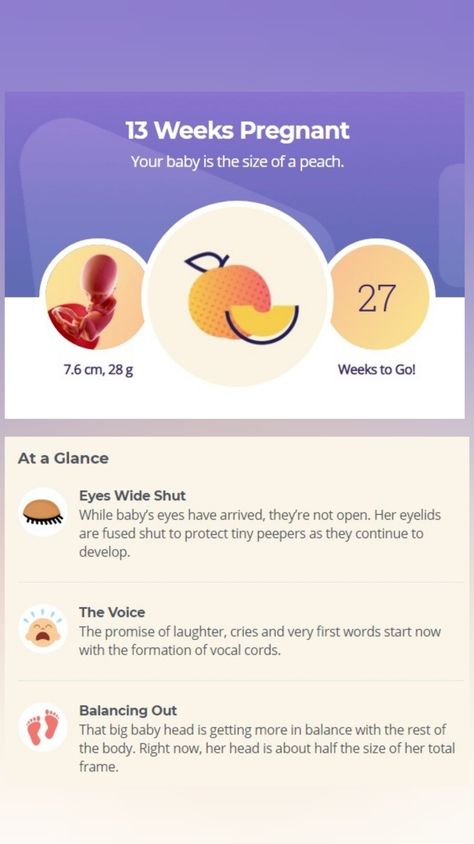 All you need to know about baby development and about changes in your body at 13 week of pregnancy. Go to our website. #13weekpregnancy #pregnancyweekbyweek #pregnant #pregnancy 21weeks Pregnant, 11 Weeks Pregnant Symptoms, Stages Of Pregnancy Weekly, 6 Weeks Pregnant Symptoms, 13 Weeks Pregnant, Baby Development Chart, 17 Weeks Pregnant Facts, 5 Month Old Baby, Baby Development Activities