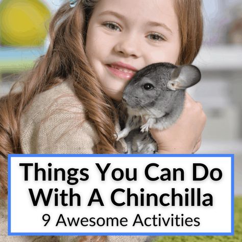 Chinchilla Fleece Accessories Diy, Chinchilla Enrichment, Chinchilla Play Area, Chinchilla Cage Ideas Diy, Chinchilla Cage Ideas, Diy Chinchilla Toys, Chinchilla Care, Chinchilla Cute, Chinchilla Toys