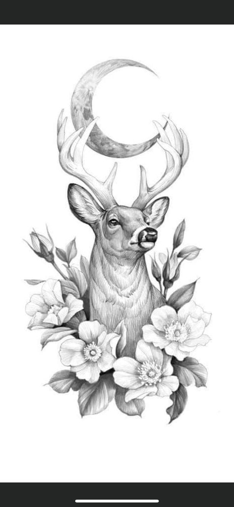 Moose Tattoo, Doe Tattoo, Deer Tattoo Designs, Deer Sketch, Stag Tattoo, Deer Drawing, Deer Tattoo, Tattoo Stencil Outline, Desenho Tattoo