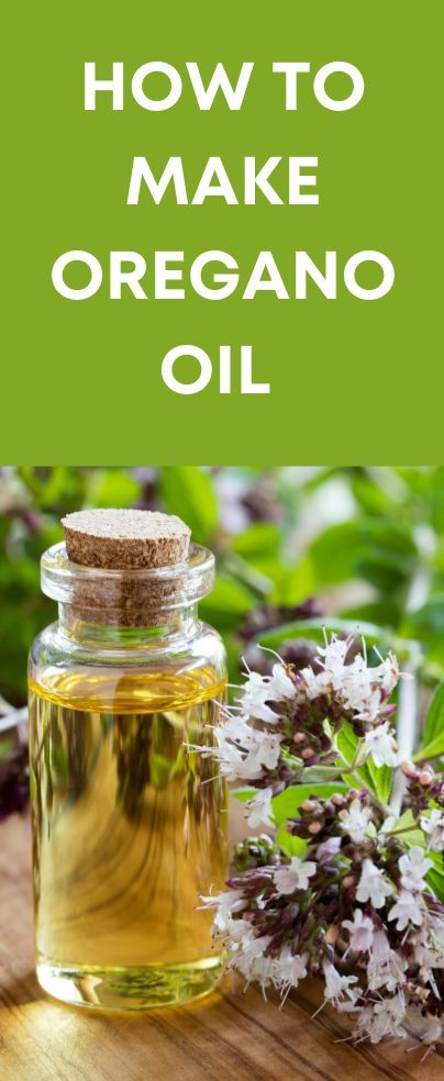 If you’ve been wondering how to make Oregano Oil at home, then you are at the right place. In this article, you will learn more about oregano oil. We will be discussing some of the benefits, uses, how to make and any other important information about the medicinal herb. How To Make Oregano Oil Recipe, Medicinal Oregano Oil, Homemade Oil Of Oregano, Making Oregano Oil, Cuban Oregano Plant Uses, Diy Oregano Oil Recipe, Homemade Oregano Oil, How To Make Oil Of Oregano, Oregano Tincture Benefits