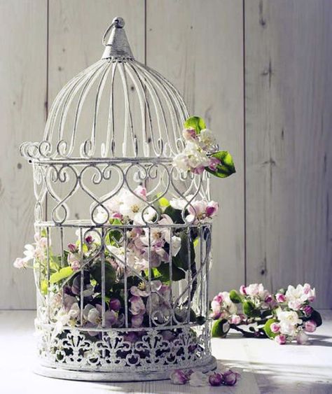 Shabby chic birdcage Carpenter Bee Trap, Apple Tree Blossoms, Bird Cage Centerpiece, Shabby Chick, Bronze Art, Bird Cage Decor, Bird Cages, Apple Tree, Shabby Chic Decor