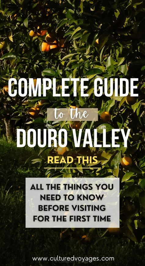 Read this travel guide from Cultured Voyages if you’re travelling to the Douro Valley. Covering subjects like things to do in the Douro Valley, how to get to the Douro Valley, a little about the vineyards in the Douro Valley (along with visiting them), you’ll be equipped with all the knowledge you need before you commence your Douro Valley trip. Best Wineries In Douro Valley, Where To Stay In Douro Valley, Douro Valley Portugal Vineyard, Day Trips From Porto, Douro Valley Portugal, Plane Trip, Portugal Wine, Porto Travel, 1 Day Trip