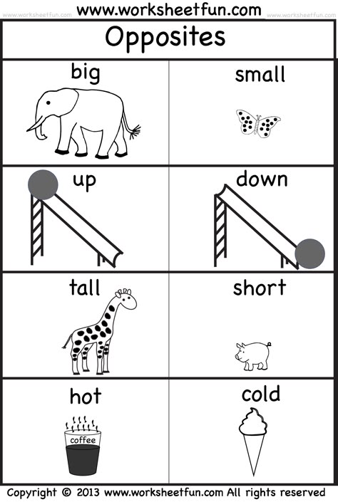 opposites_pictures_wfun_2 Opposites Preschool, Opposites Worksheet, Learning German, Bahasa Melayu, English Lessons For Kids, School Worksheets, Preschool Printables, Preschool Learning Activities, Preschool Math