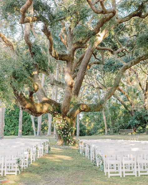 Ribault Club Wedding, Outdoor Venues, Jacksonville Fl, Club Wedding, Reception Venues, The Knot, View Photos, Wedding Venue, Floral Wedding