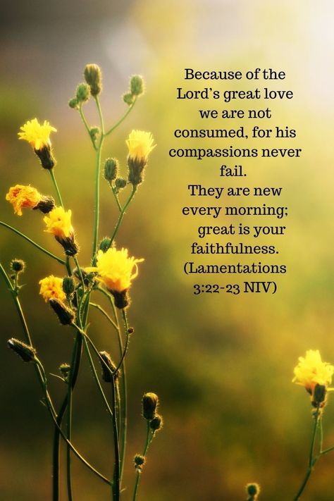 Lamentations 3:22-23 #scripture #biblequotes #mareedee Lamentation 3:22-23, Lamentations 3:22-24, Lamentations 3:28-30, Morning Scripture Quotes, Lamentations 3:22-23 Wallpaper, Lamentations 3:23, Lamentations 3:22-23, Fabulous Wallpaper, Morning Scripture