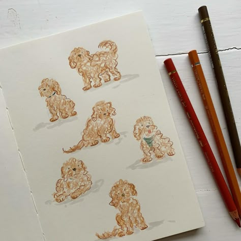 Doodle doodles 🐶 . #doodle #doodlelove #doodledog #doodlepuppy #doodledrawing #sketch #sketchbook #pencilsketch #dogdrawing #cockapoo #sararhys Doodle Puppy, Doodle Dog, Dog Drawing, Doodle Drawings, Pencil Sketch, Sketch Book, Doodles, Art Inspiration, Sketch