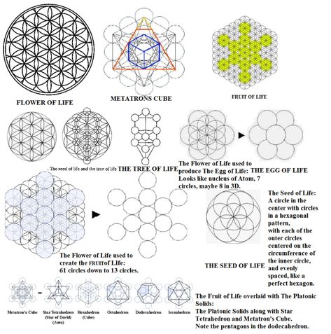 Egg Of Life, Sacred Geometry Meanings, Drunvalo Melchizedek, Ancient Patterns, Taurus Constellation, Sacred Geometry Patterns, Sacred Geometry Symbols, Sacred Geometric, Metatrons Cube