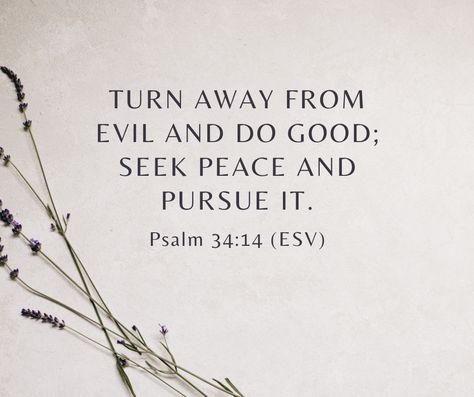 Psalm 34:14 tells us to seek peace and work to maintain it. Peace must be something we work toward, something we pursue. We must crave and desire it more than our desire to be right, get vengeance, or be liked. Peace doesn’t happen. We have to go after peace. Choosing good over evil and peace over sin is part of honoring God. Let’s be eager to do good and passionate about waging peace. When we have true peace in God, we’ll also discover other areas where we can pursue peace. Peace And Comfort Scripture, Peace In God, Pursue Peace, Good Over Evil, Seek Peace, Psalm 34, Give Me Strength, Encouraging Quotes, Daily Encouragement