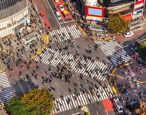 Shibuya Scramble Crossing Tokyo Guide, Tokyo Travel Guide, Before The Flood, Shibuya Crossing, Visit Tokyo, Tokyo Station, Aerial Images, Narita, Tokyo Travel