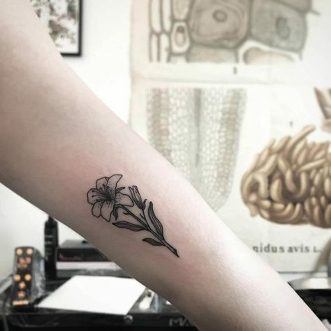 Lily Tattoo Ideas, Stargazer Lily Tattoo, Lilly Flower Tattoo, Lily Tattoo Meaning, Water Lily Tattoos, Lily Tattoo Design, Lily Flower Tattoos, Lilly Flower, Stargazer Lily