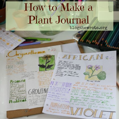 Have you ever thought of keeping a journal of wildflowers or to keep track of your garden progress? Learn tips for creating and keeping a plant journal! Horticulture Education, Homeschool Nature Study, Plant Study, Plant Journal, Nice Ideas, Study Ideas, Unit Studies, Plant Science, Garden Journal