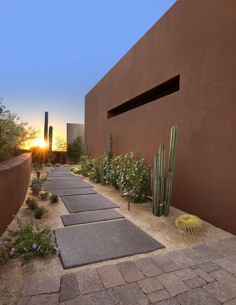 Drought Resistant Landscaping, Desert Backyard, Budget Landscaping, Landscaping Design Ideas, Small Backyard Gardens, Modern Landscape Design, Backyard Entertaining, Desert Garden, Ideas Backyard