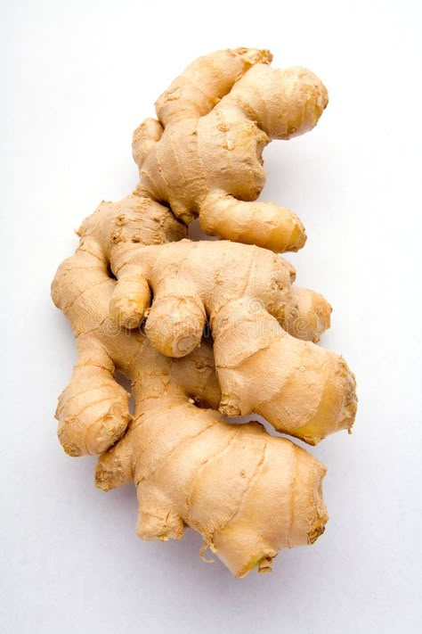 Ginger Vegetables, Ginger Image, Ginger Picture, Fruits And Vegetables Pictures, Growing Ginger, Vegetables Photography, Tattoo Plant, Vegetable Pictures, Fruit Icons