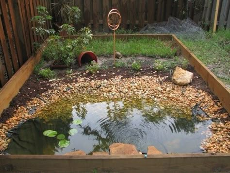 Red Eared Slider Outdoor Habitat | Outdoor Aquatic Turtle Habitat | Uploaded to Pinterest Tartaruga Habitat, Aquatic Turtle Habitat, Box Turtle Habitat, Turtle Enclosure, Turtle Terrarium, Red Eared Slider Turtle, Eastern Box Turtle, Turtle Aquarium, Turtle Care