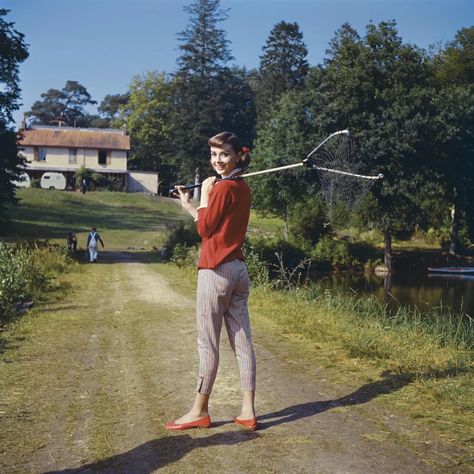 Robert Wolders, Audrey Hepburn Fashion, Audrey Hepburn Outfit, Love In The Afternoon, Audrey Hepburn Pictures, Red Knit Cardigan, Face Quotes, Audrey Hepburn Photos, Champion Sneakers